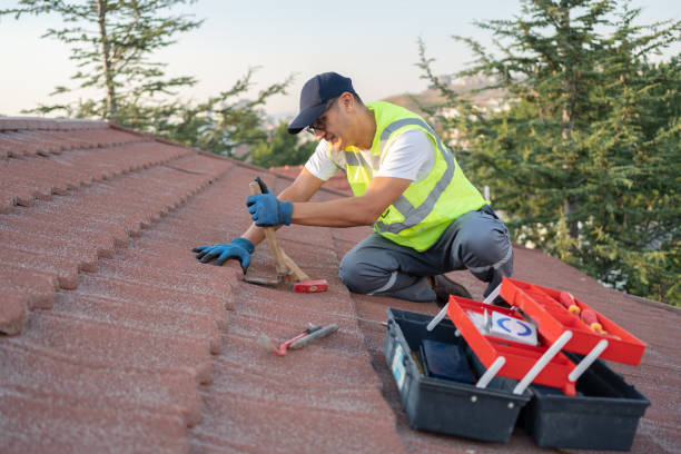 Best Roof Maintenance Services  in East St Louis, IL