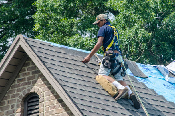 Best Roof Waterproofing Services  in East St Louis, IL